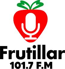 FM Frutillar TV